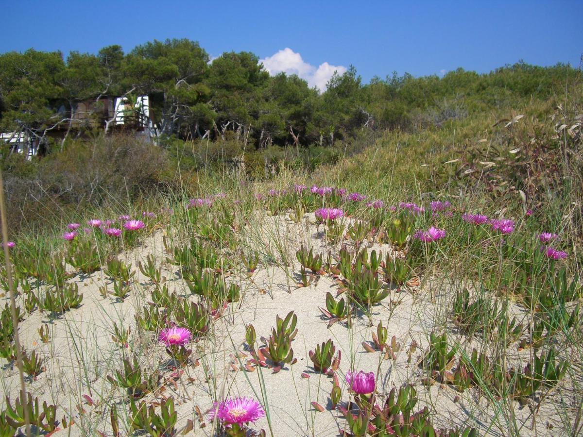 Esclusiva Suite Il Nido D'Amore Sul Mare Gallipoli Extérieur photo