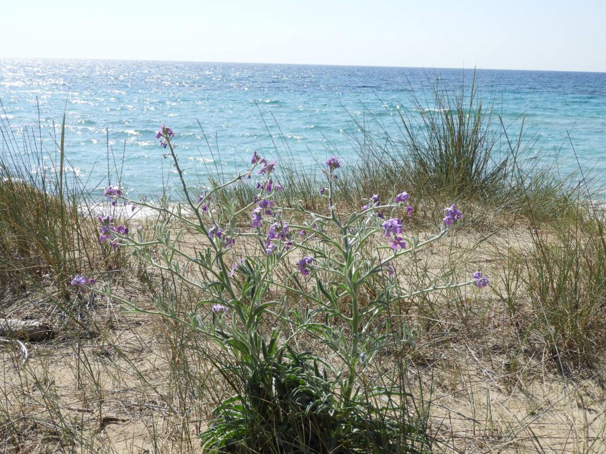 Esclusiva Suite Il Nido D'Amore Sul Mare Gallipoli Extérieur photo