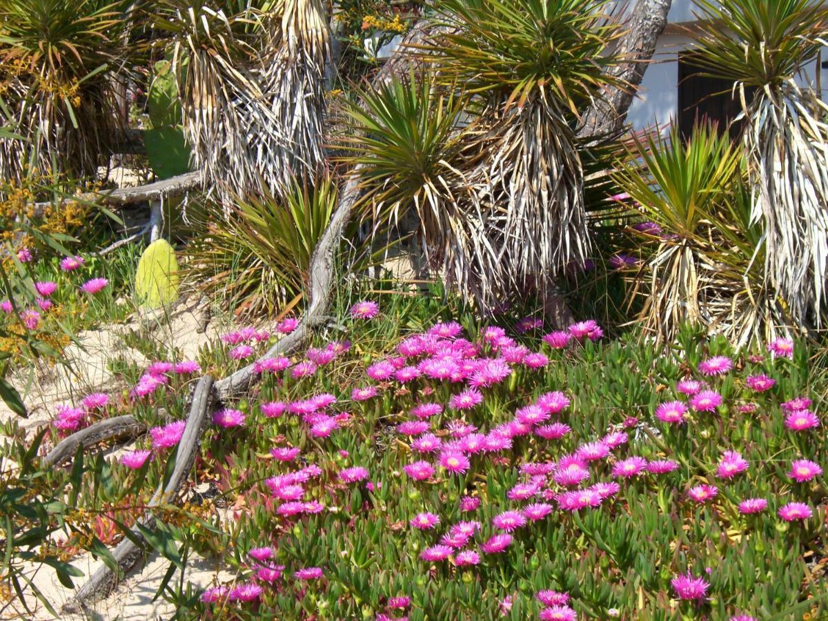 Esclusiva Suite Il Nido D'Amore Sul Mare Gallipoli Extérieur photo